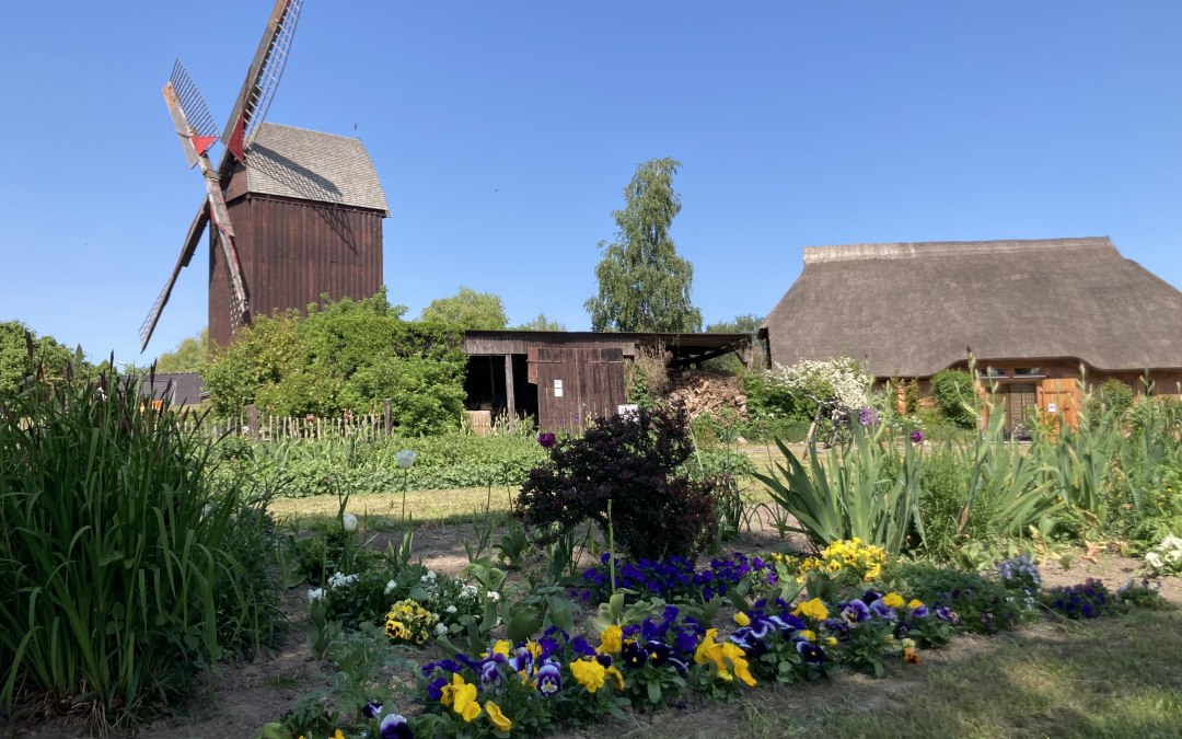 Kleurrijke lentegroeten van de Eldena windmolen, © Martin Weidemeier
