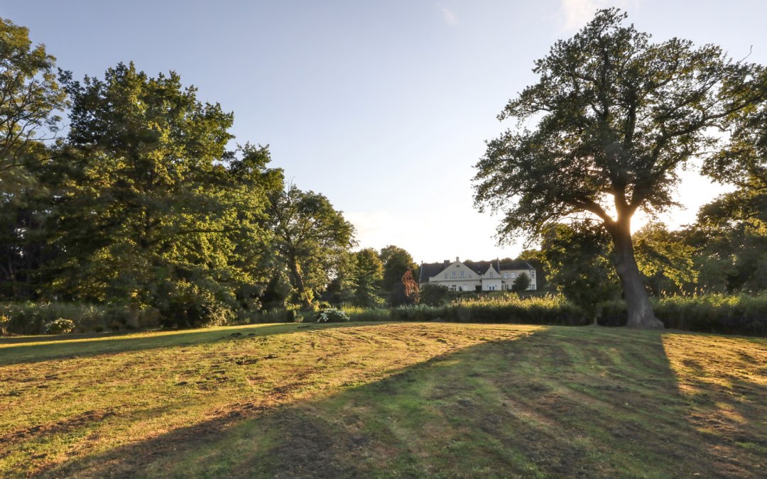 Dalwitz Landgoed Park_4, © TMV/Gohlke