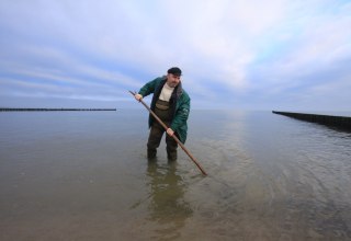 &copy; Bernsteinsuche