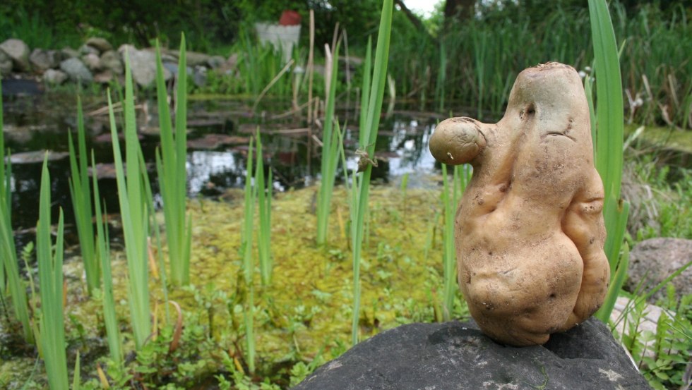 Elena Kolcova 1&copy;Elena Kolcova, &copy; Elena Kolcova