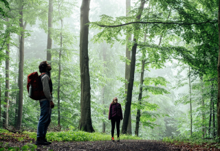 &copy; Felix G&auml;nsicke/TMV