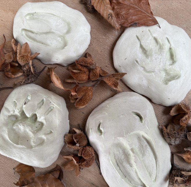 © Nationalpark-Zentrum KÖNIGSSTUHL © Nationalpark-Zentrum KÖNIGSSTUHL