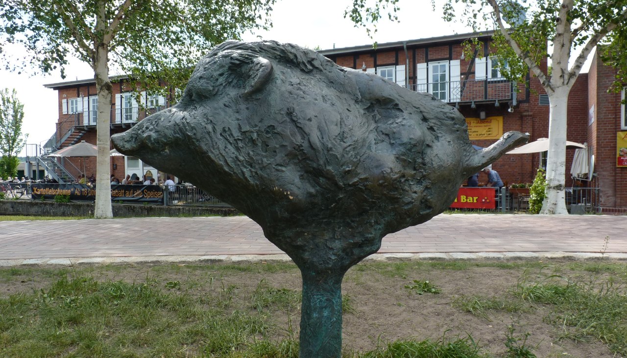 Wild boar - raging sow, © Waren (Müritz)-Information Wild boar - raging sow, © Waren (Müritz)-Information