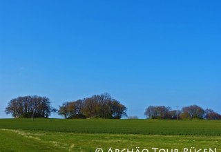 Zicht op de "Woorker Berge" grafheuvels, © Archäo Tour Rügen