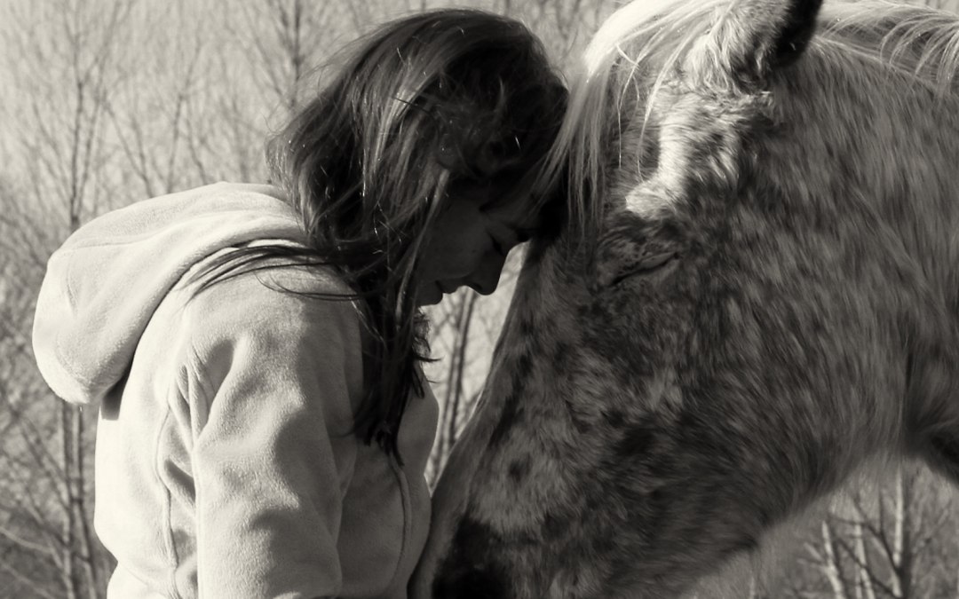 Framika Ranch, © Dirk Sandner