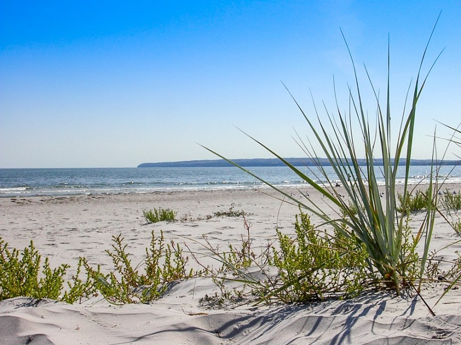 Plaża, &copy; Freizeitcamp Am Wasser