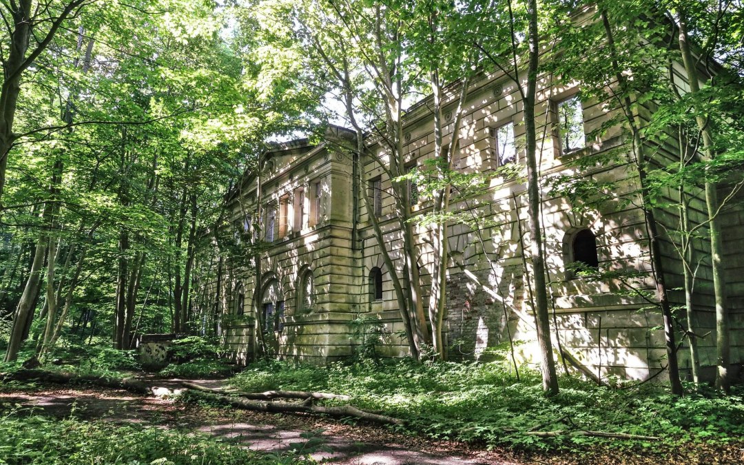 Dwasieden castle ruins // &copy; TMV/Gohlke