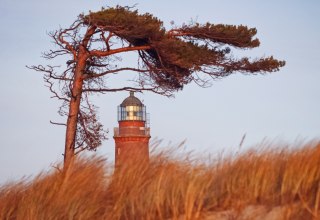 Darßer Weststrand zdobi latarnia morska, która jest częścią NATUREUM., © Anke Neumeister/Deutsches Meeresmuseum