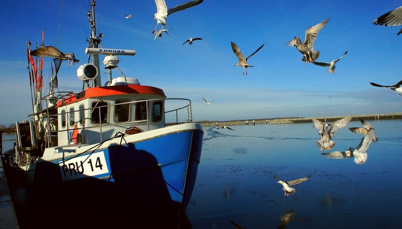 Dei Lütt Fischhall_Foto van de vissersboot, © Grählert Dei Lütt Fischhall_Foto van de vissersboot, © Grählert