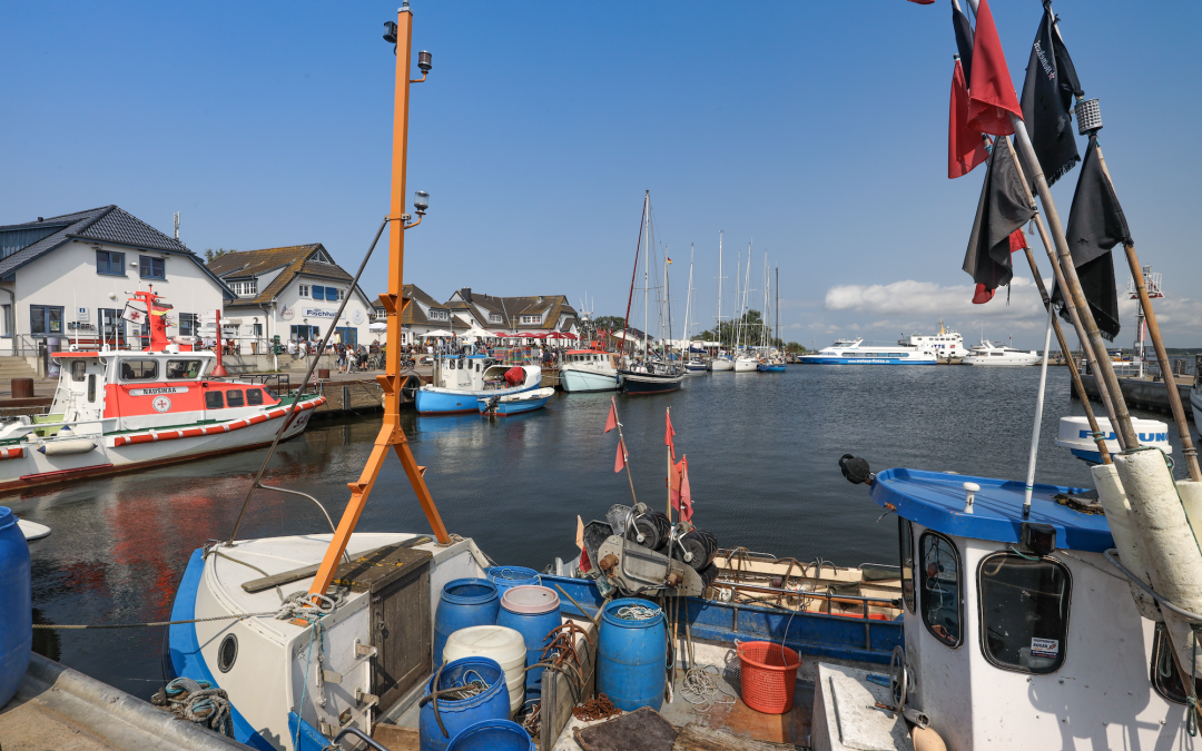 port-vitte_6, © TMV/Gohlke