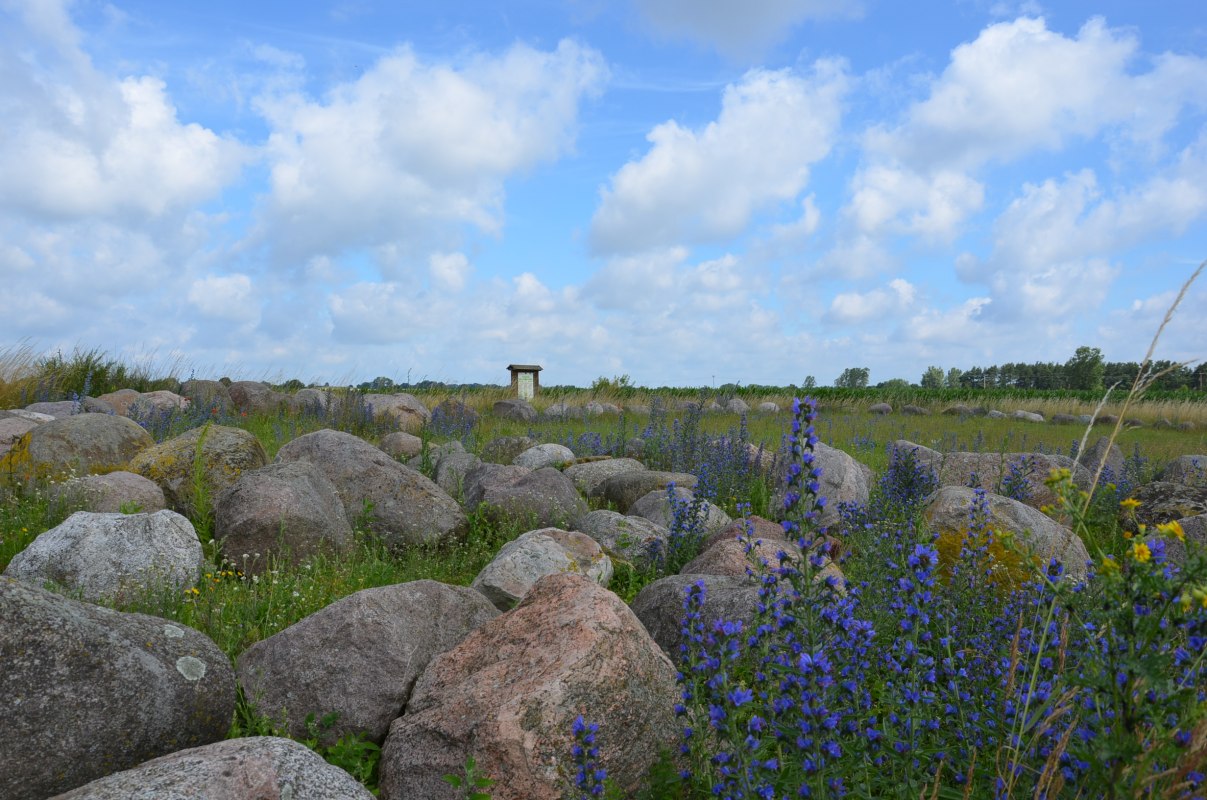 © Kurverwaltung Feldberger Seenlandschaft © Kurverwaltung Feldberger Seenlandschaft