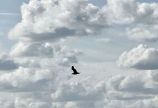 &copy; Katrin Sander