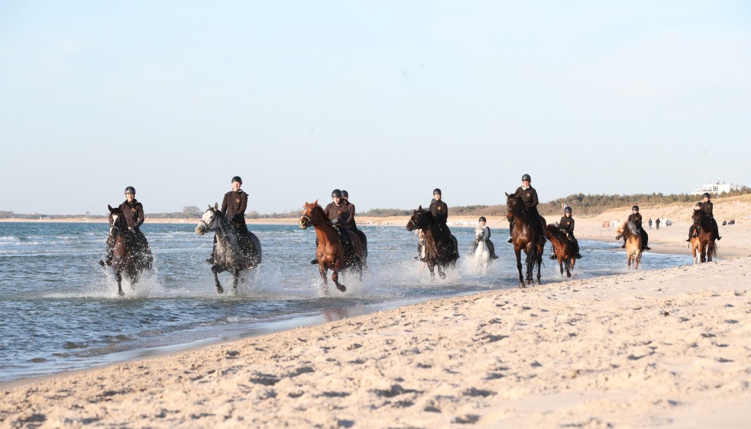 Grupa jeźdźc&oacute;w galopuje na koniach przez płytką wodę na piaszczystej plaży Morza Bałtyckiego w pobliżu wyspy Uznam.