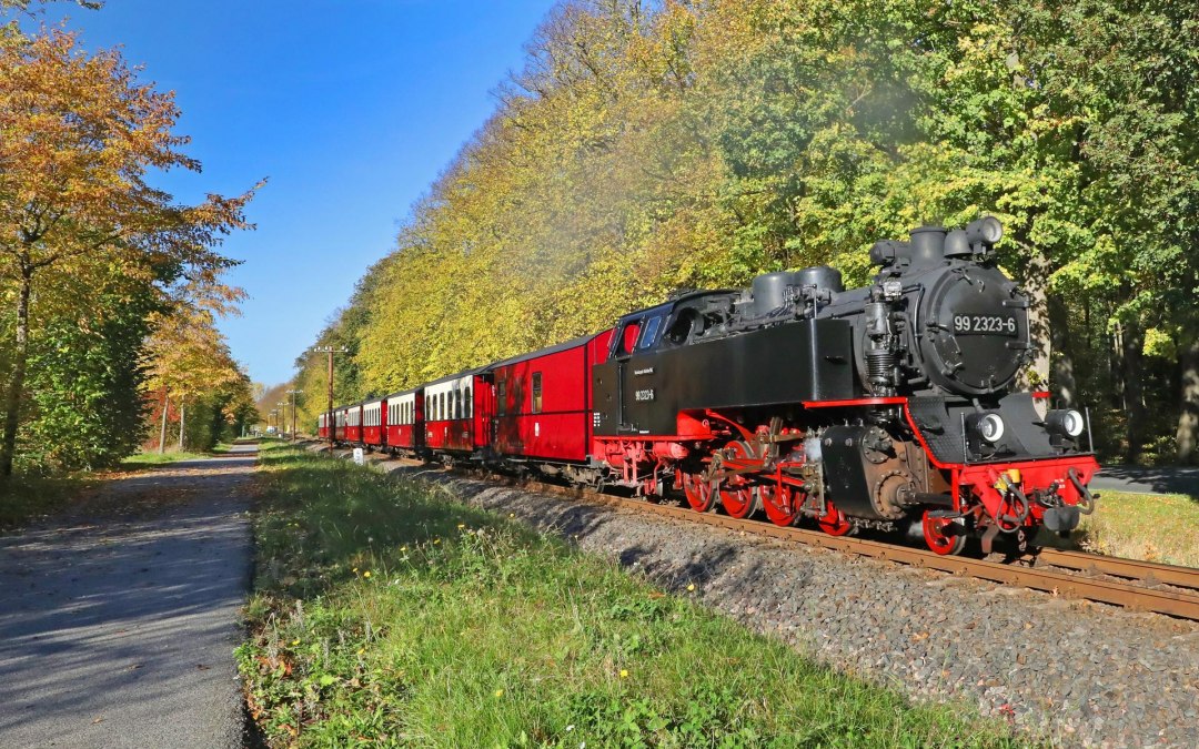 De Molli tussen Bad Doberan - Heiligendamm - Kühlungsborn, © TMV/Gohlke