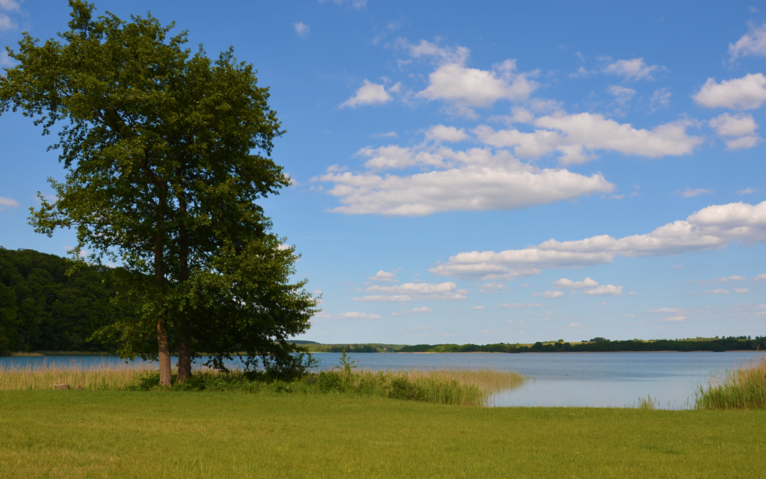 Szerokie kąpielisko Luzin Huettenberg 1, © Martin Möller