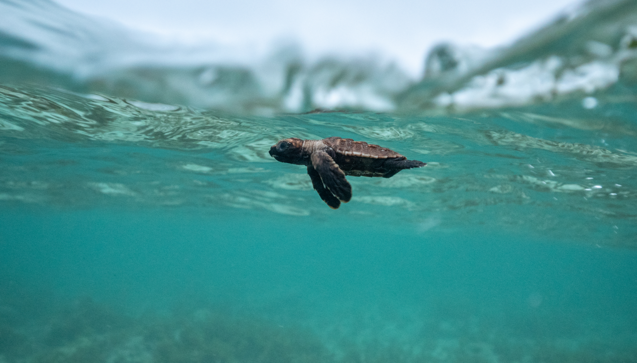 Seychellen_MartinaAndres_VD, © Martina Andres