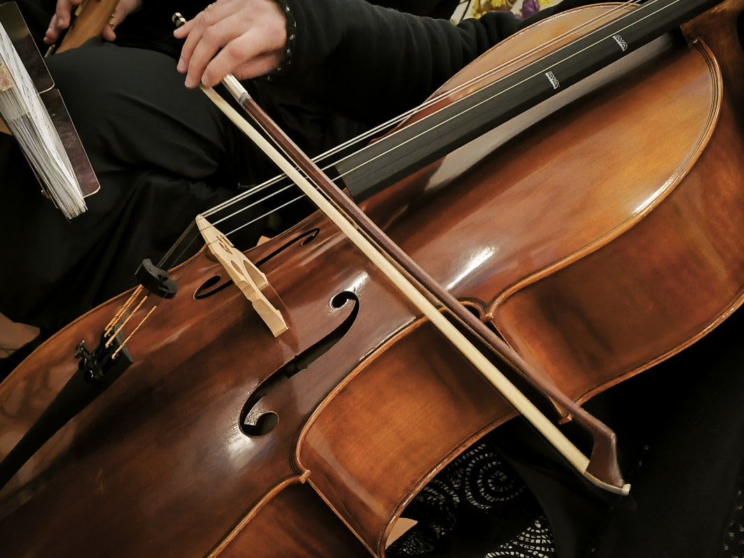 Cello foto strijkorkest Tetrow // © Streichorchester teterow Cello foto strijkorkest Tetrow // © Streichorchester teterow
