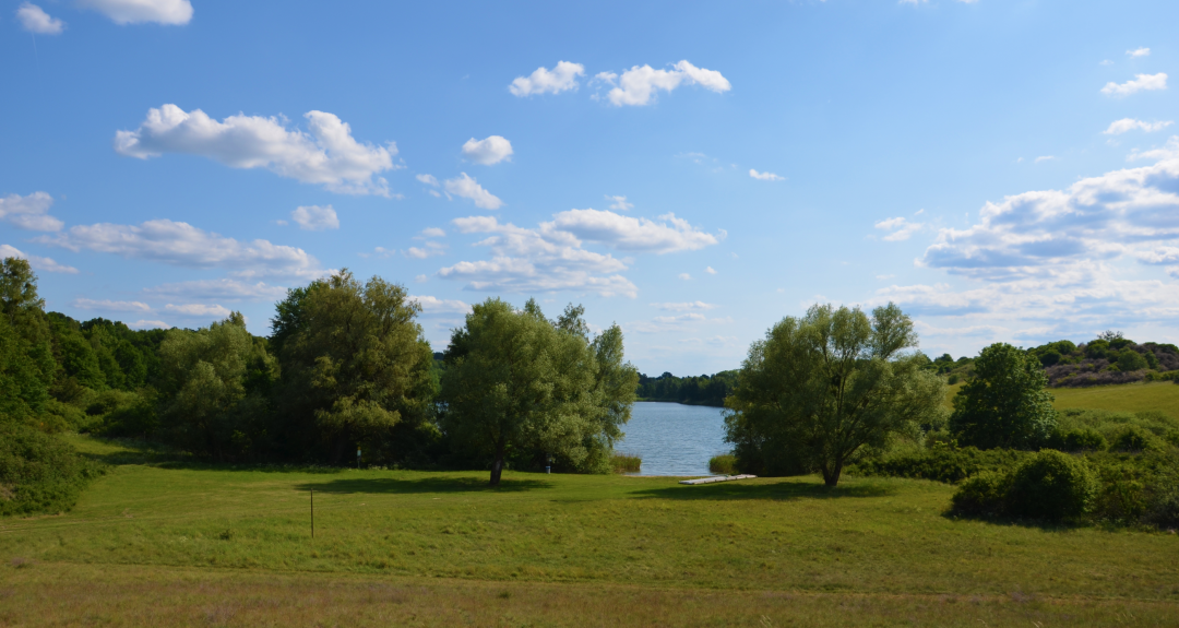Lake Cantnitz bathing area north shore 3, © Martin Möller