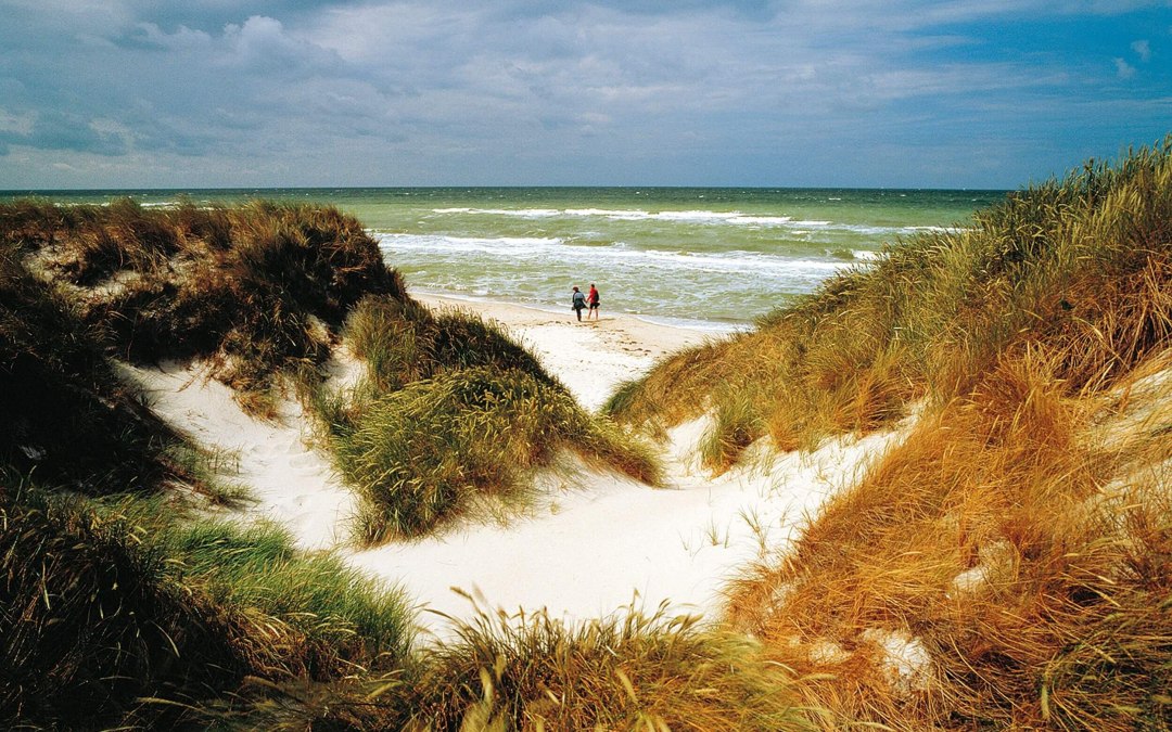Natuurimpressies van het schiereiland Fischland-Darß-Zingst, © TMV/Grundner
