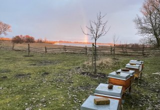 Morning mood on the moor, &copy; Peter Wittenberg