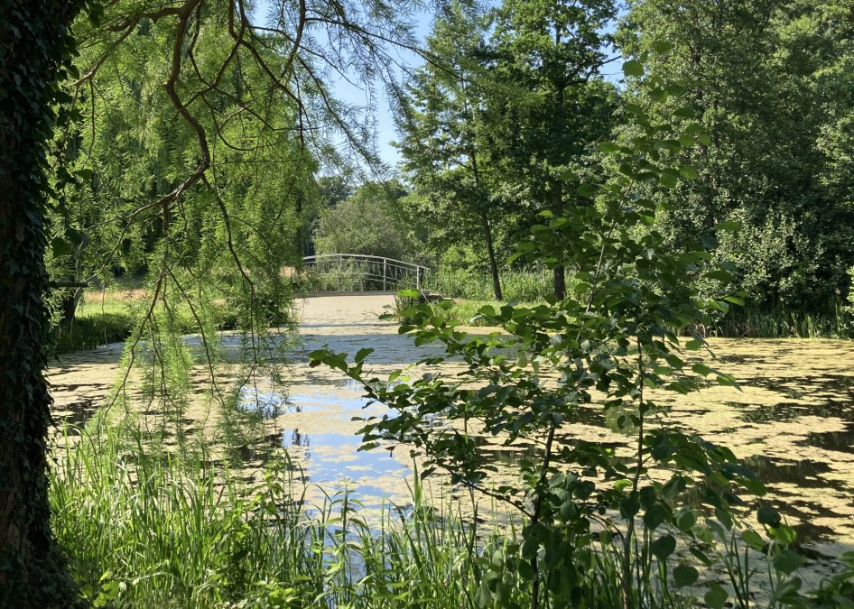 W Semlow Castle Park, © Tourismusverein VR/Manuela Steimle