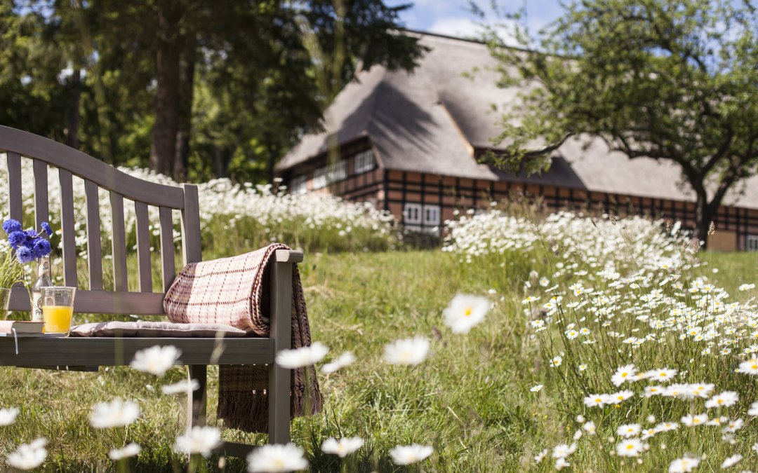 Gastenverblijf in het park, © Park am See