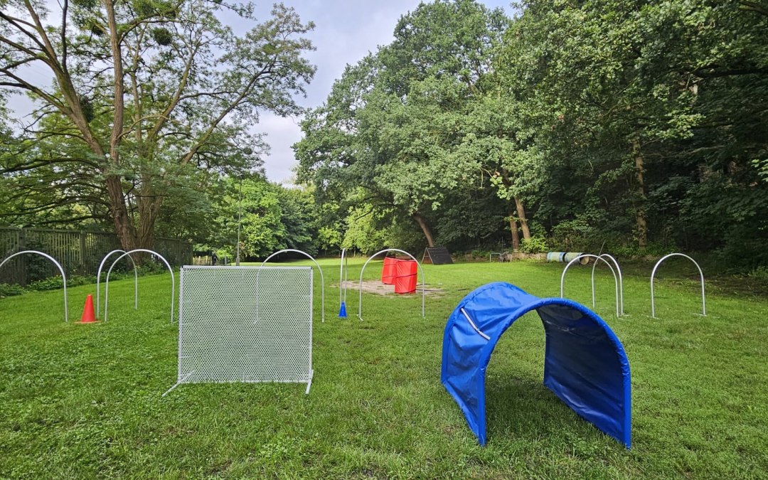 Hoepelbaan, © Hundesport Neubrandenburg e.V.