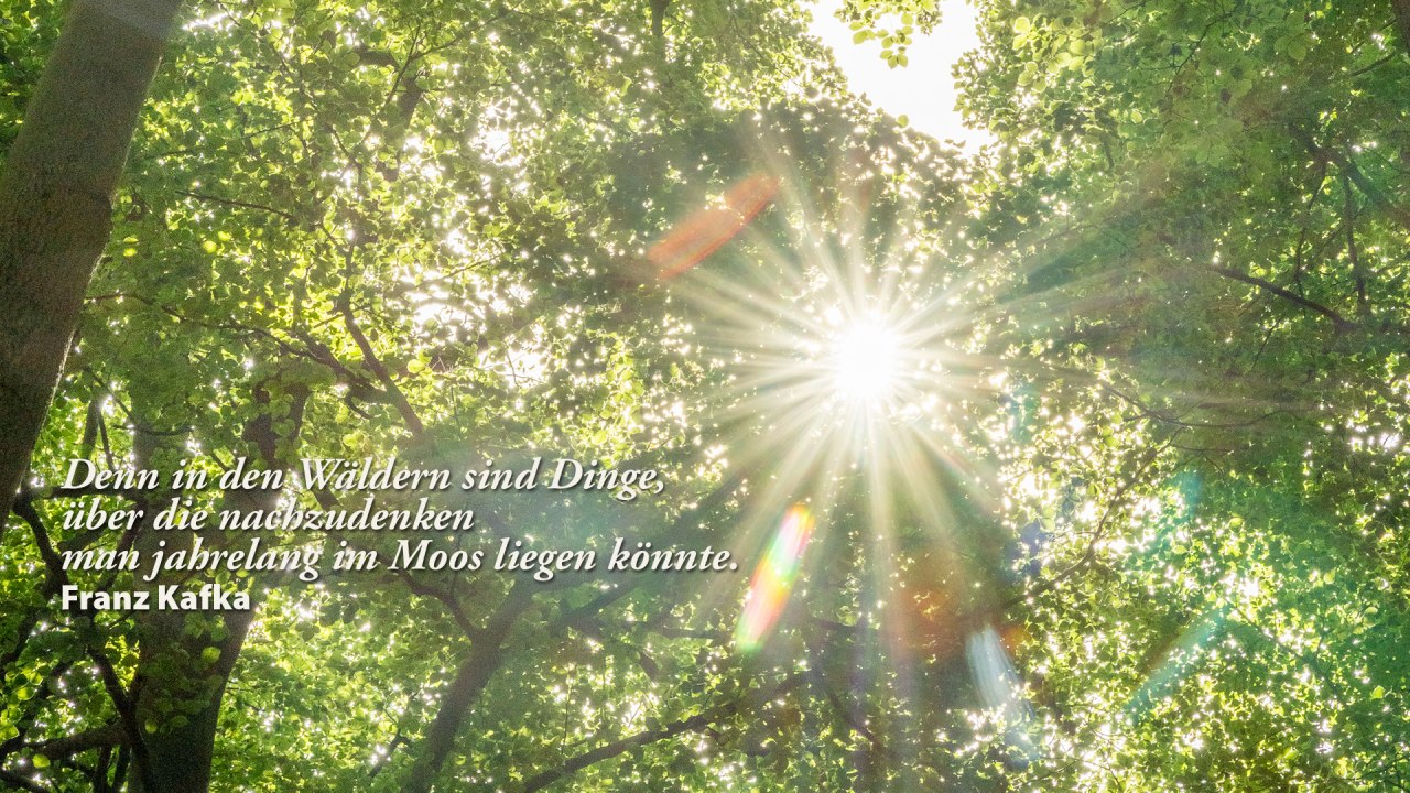 Themawandeling "Een rugzak vol literatuur // &copy; Andr&eacute; Pristaff / Tourismus- und Kur GmbH Graal-M&uuml;rit