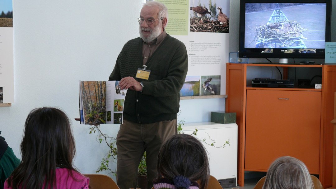 Direct transmission from the osprey nest, © Nationalparkamt Müritz/B. Lüthi-Herrmann Direct transmission from the osprey nest, © Nationalparkamt Müritz/B. Lüthi-Herrmann