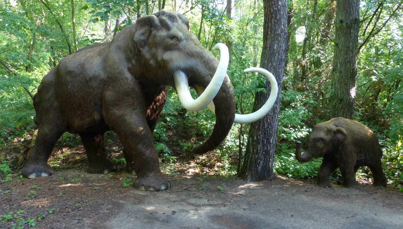 P1140118, © Weichbrodt P1140118, © Weichbrodt