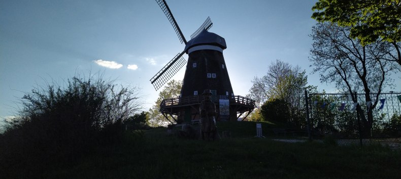 © Peter Drews © Peter Drews