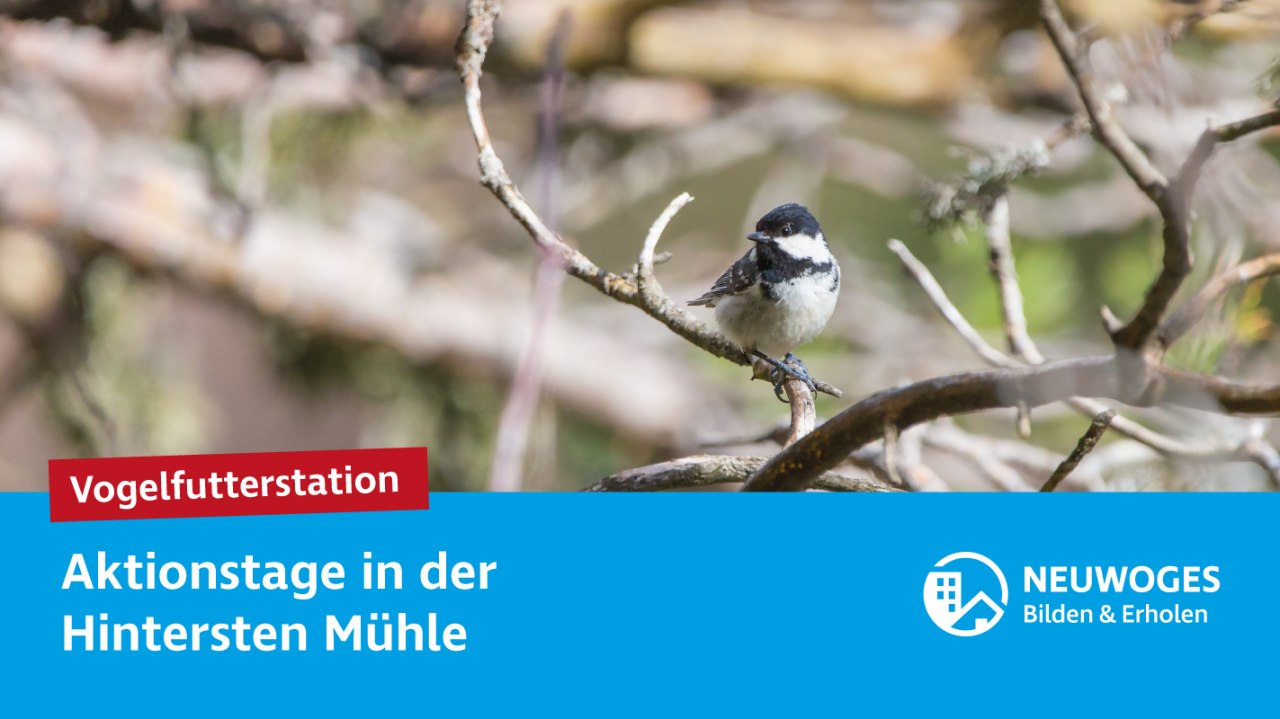 © Neuwoges © Neuwoges