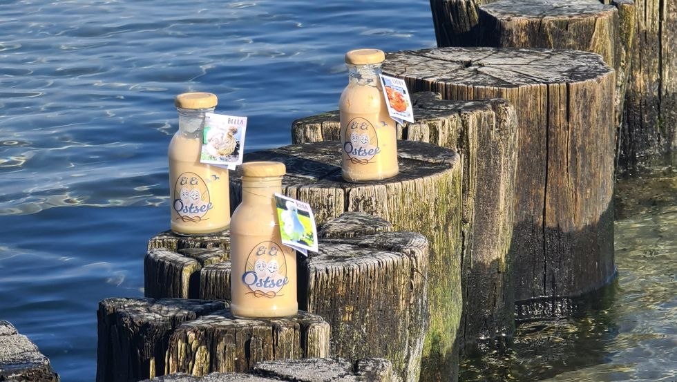 &copy; EiEiOstsee Dr. Thomas Graupner