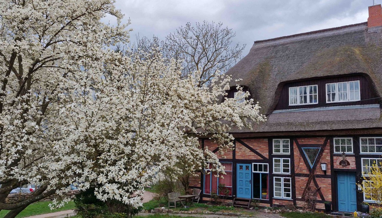 Pastorie Kessin, © Martin Goffing Pastorie Kessin, © Martin Goffing