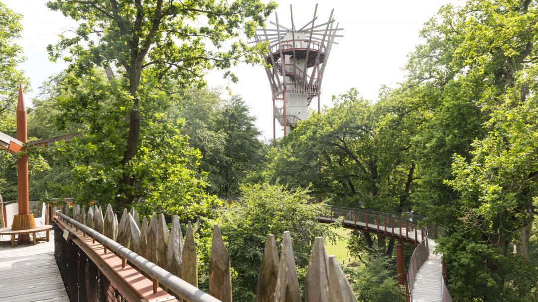 baumkronenpfad-5, © Landesforst MV baumkronenpfad-5, © Landesforst MV