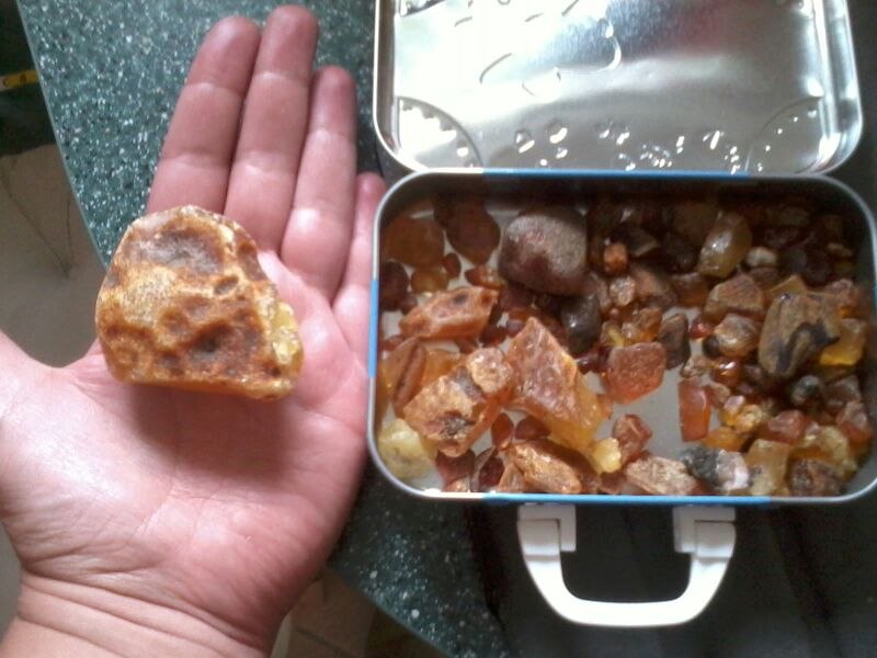 Wandeling familie amber, &copy; Bernstein.jpg