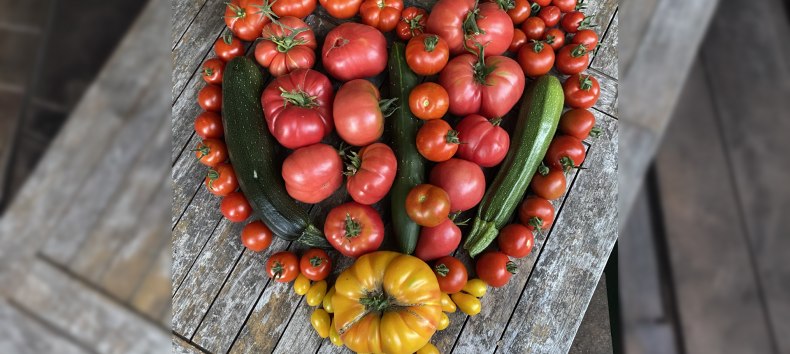 &copy; Stadtbibliothek Ribnitz-Damgarten