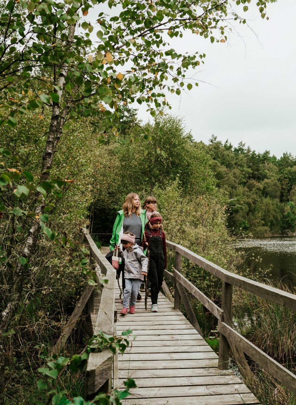Een familie verkent het Nationaal Park Müritz op een idyllische houten loopbrug die langs een rustig meer door dichte bossen leidt. Omgeven door ongerepte natuur genieten ze van de rust en de schoonheid van het landschap. // © 1000seen.de Een familie verkent het Nationaal Park Müritz op een idyllische houten loopbrug die langs een rustig meer door dichte bossen leidt. Omgeven door ongerepte natuur genieten ze van de rust en de schoonheid van het landschap.