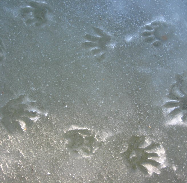 &copy; Ulrich Me&szlig;ner