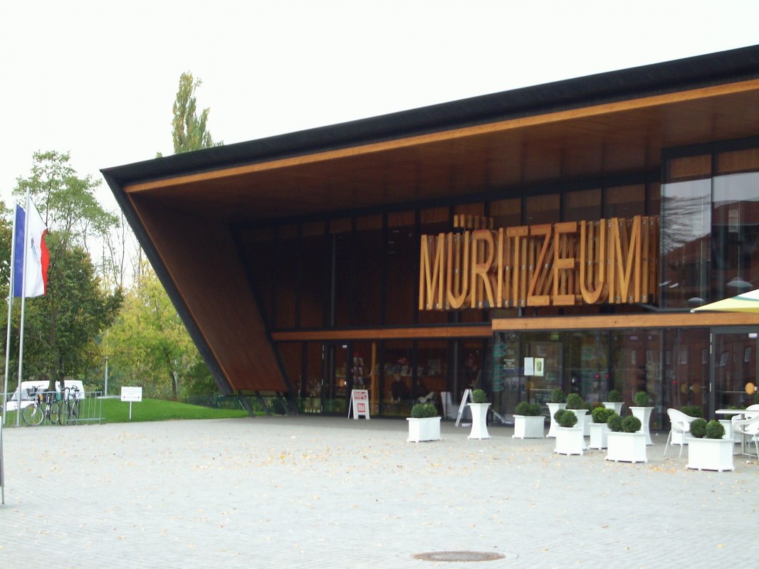 &copy; M&uuml;ritzeum