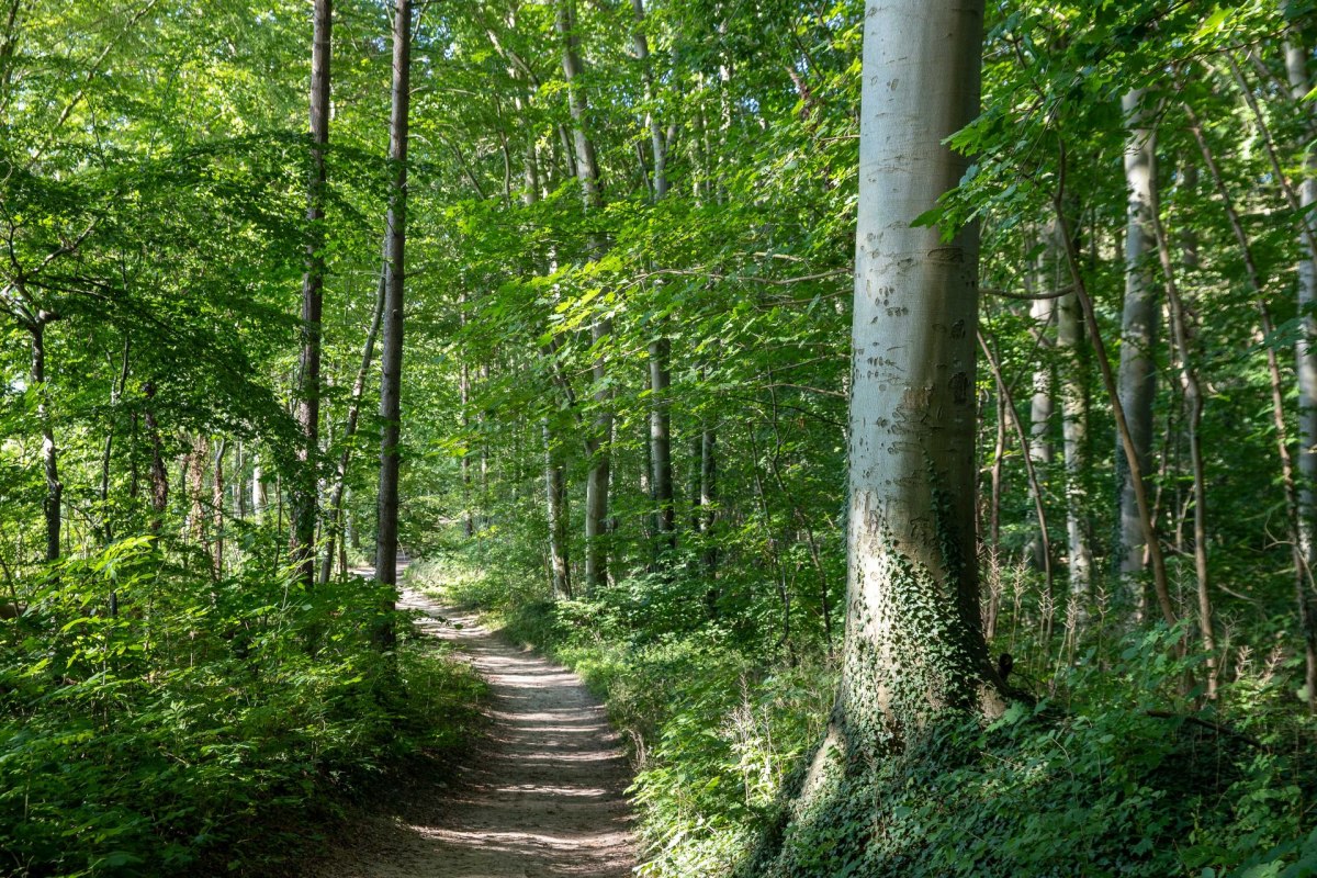 &copy; Kurverwaltung Goehren / Martin Stoever