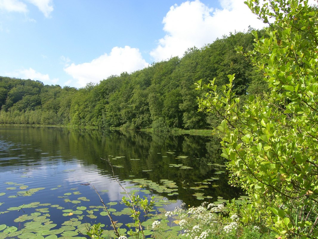 © Biosphärenreservatsamt Südost-Rügen © Biosphärenreservatsamt Südost-Rügen