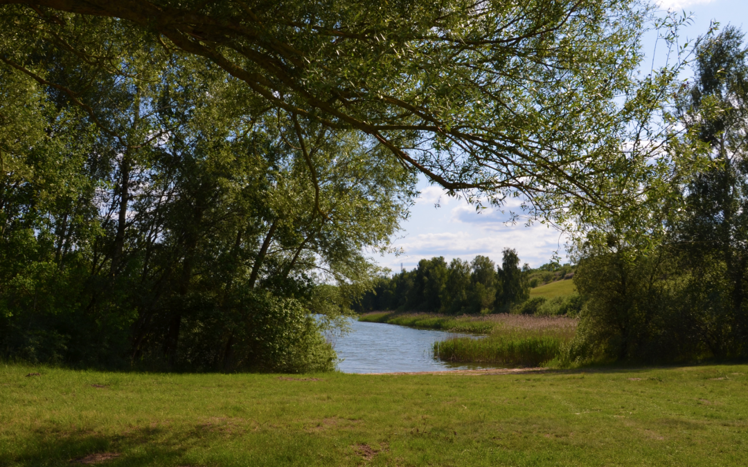 Lake Cantnitz bathing area north shore 4, © Martin Möller
