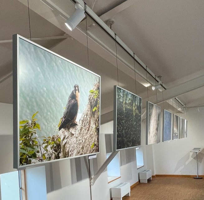 © Nationalpark-Zentrum KÖNIGSSTUHL © Nationalpark-Zentrum KÖNIGSSTUHL