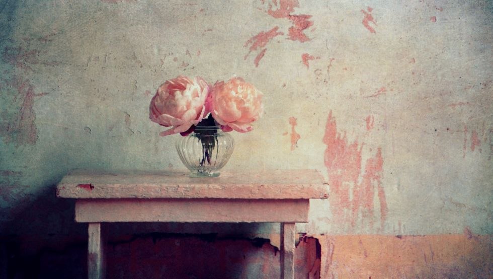Stilleven met pioenen, © Claudia Drossert