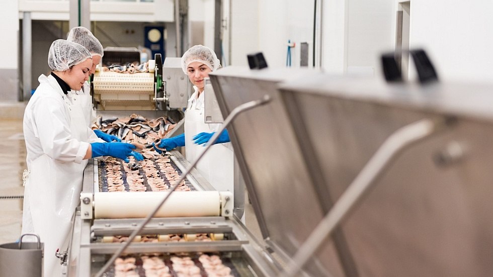 Een blik op de productie, &copy; Schwaaner Fischwaren GmbH