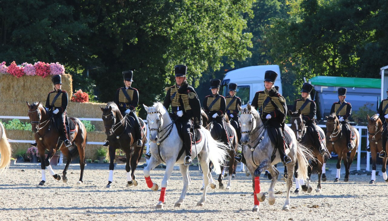 Pferdetage 3, &copy; Sven F&ouml;rst