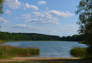 &copy; Martin M&ouml;ller