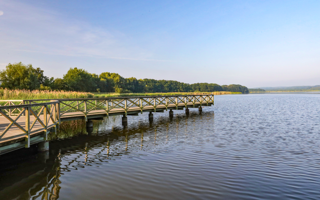 park-am-schmachter-see_2, © TMV/Gohlke