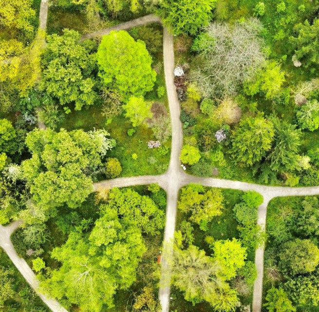 © Gudrun Koch © Gudrun Koch